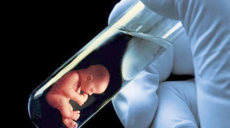 تكلفة أطفال الأنابيب في مصر