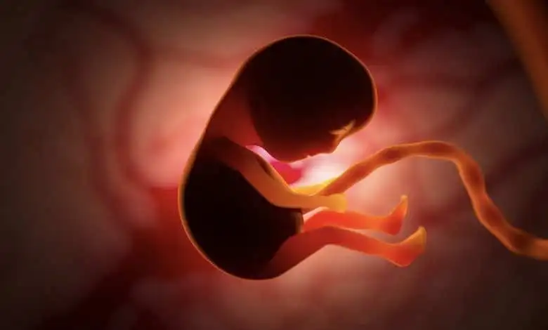 علاج الإجهاض المتكرر